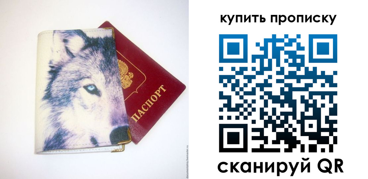 временная регистрация поиск в Чкаловске